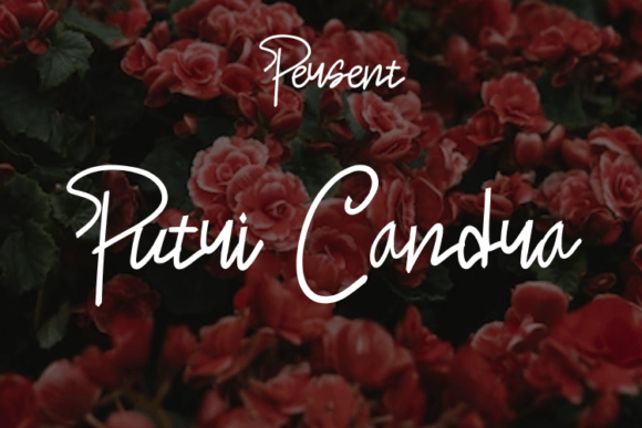 Putri Candra: Elegant Script Font for Web Design